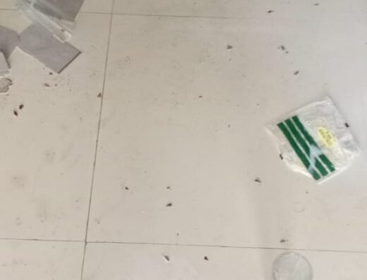 GLOBAL PEST CONTROL