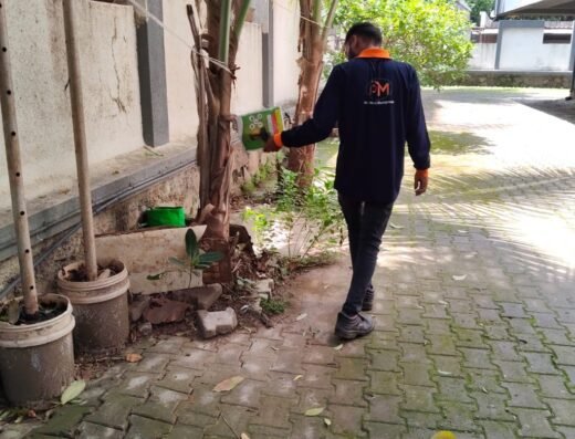 Ideal Pest management – Pest Control Service in Wakad and Pimple Saudagar