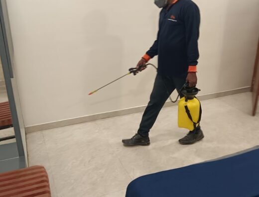 Ideal Pest management – Pest Control Service in Wakad and Pimple Saudagar