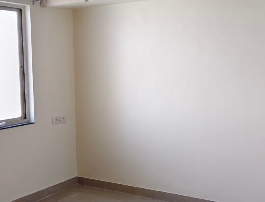 Pandit Home Wall Paint