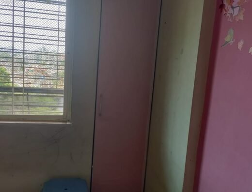 Patole Painting Services