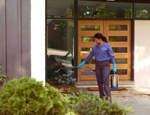 PestEon Services |For Anti Termite Treatment and Pest Control