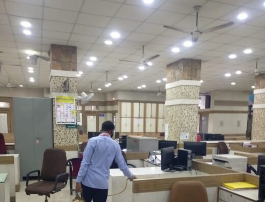 Shree Pest Control Services
